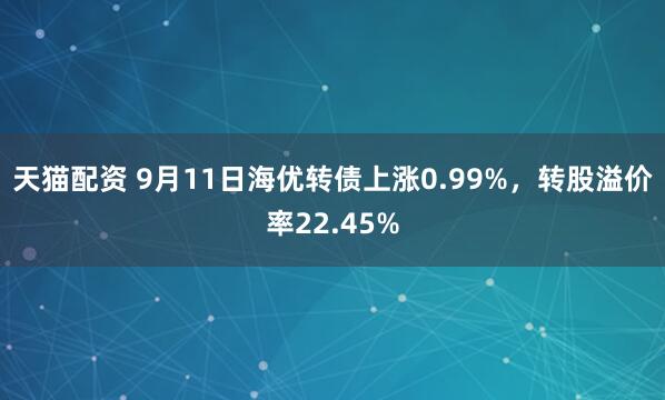 天猫配资 9月11日海优转债上涨0.99%，转股溢价率22.45%