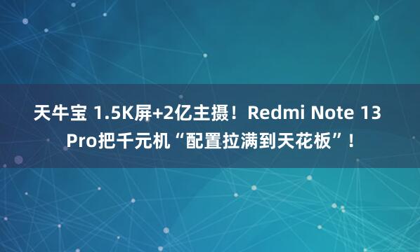 天牛宝 1.5K屏+2亿主摄！Redmi Note 13 Pro把千元机“配置拉满到天花板”！